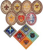 2012 Rank Patches